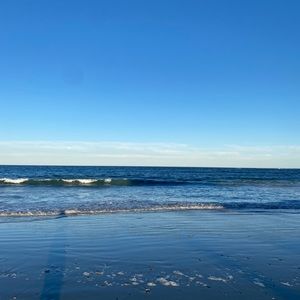 Meet your Posher, Tatum